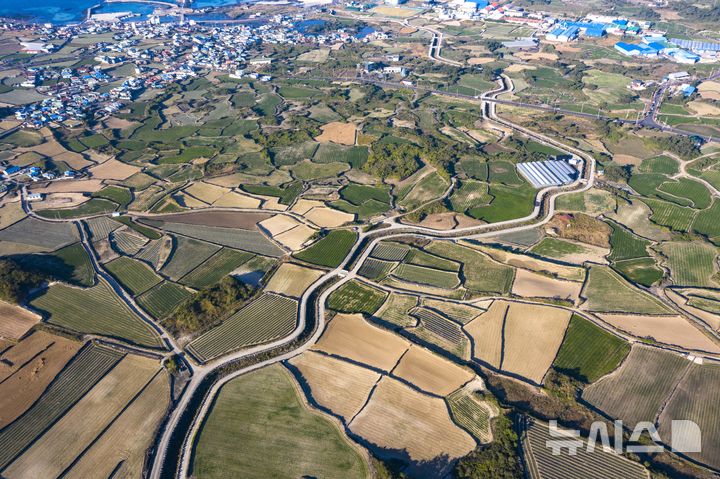 [제주=뉴시스] 제주도 동부지역 농경지. (사진=뉴시스 DB). photo@newsis.com 