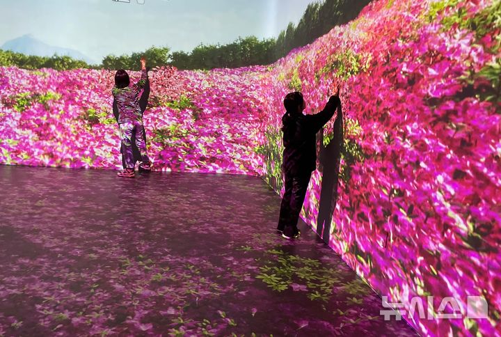 [김해=뉴시스]김해 수로왕릉에 미디어아트·실감형 콘텐츠 상영. (사진=김해시 제공). 2025.1.21. photo@newsis.com