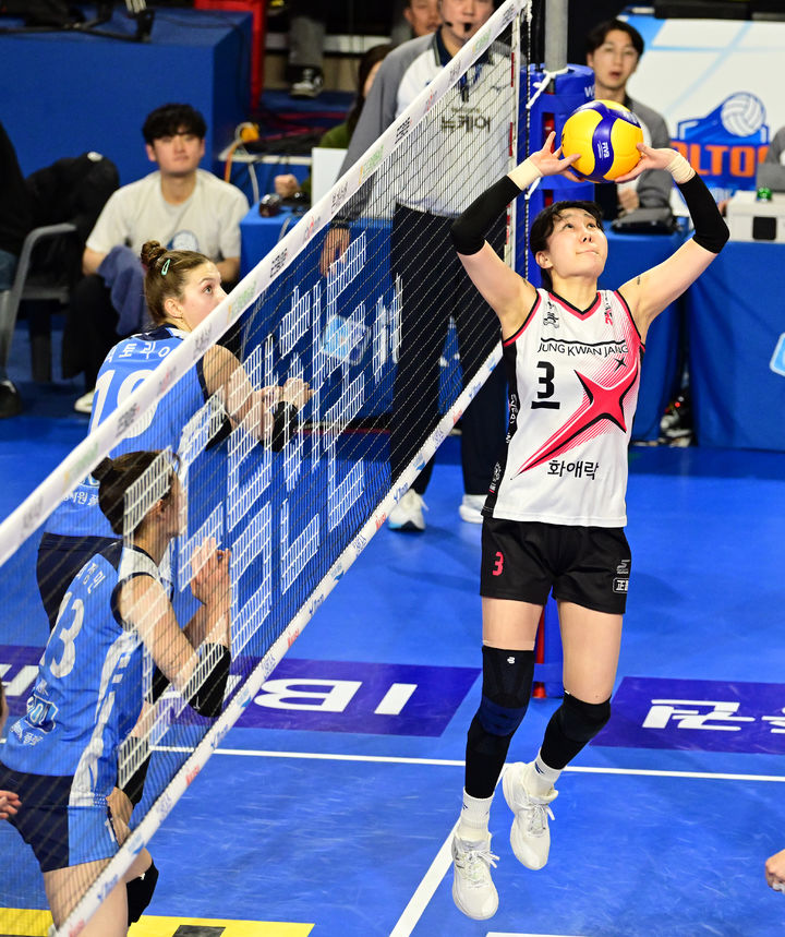 [서울=뉴시스] 프로배구 정관장 세터 염혜선이 지난 14일 화성종합실내체육관에서 열린 도드람 2024~2025 V-리그 여자부 경기에서 세트를 시도하고 있다. (사진=KOVO 제공) 2025.01.14 *재판매 및 DB 금지