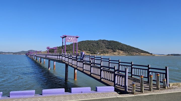 [신안=뉴시스]퍼플섬 '퍼플교'. (사진=신안군 제공) 2025.01.22. photo@newsis.com *재판매 및 DB 금지