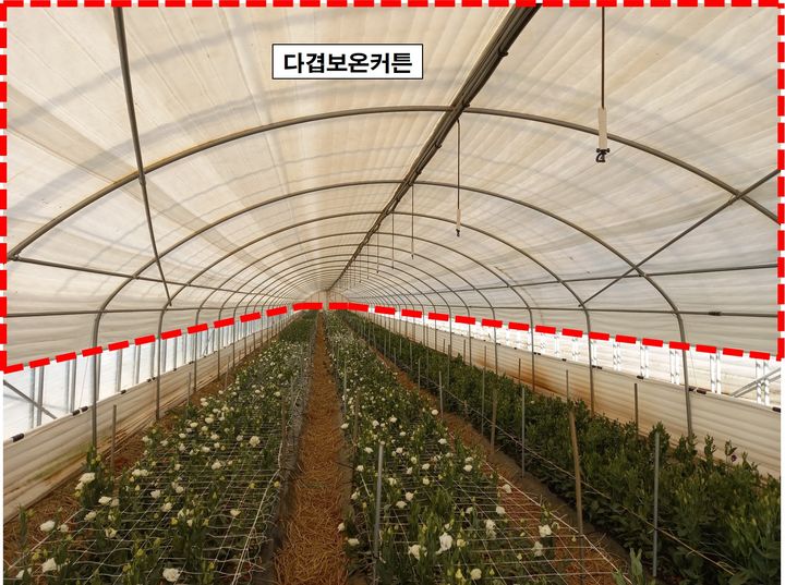 [세종=뉴시스] 농촌진흥청가 보급한 에어로겔 다겹보온커튼을 시범 적용한 비닐하우스. (사진=농진청 제공) *재판매 및 DB 금지