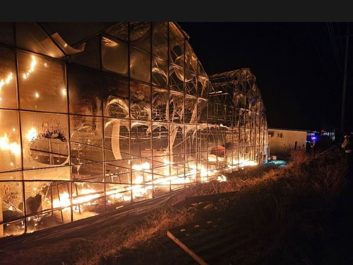 [철원=뉴시스] 23일 소방당국은 지난 22일 오후 10시 18분경 강원 철원군 동송읍 양지리 한 토마토 비닐하우스 농장에서 불이나 비닐하우스 6동이 전소됐다고 밝혔다. 강원특별자치도소방본부 제공. *재판매 및 DB 금지