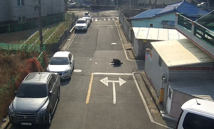 [울산=뉴시스] 울산 울주군 CCTV 통합관제센터는 실시간 모니터링과 경찰과의 유기적인 협조를 통해 치매 노인을 무사히 귀가시키는 데 도움을 줬다고 23일 밝혔다. (사진= 울주군 제공) 2025.01.23.photo@newsis.com *재판매 및 DB 금지