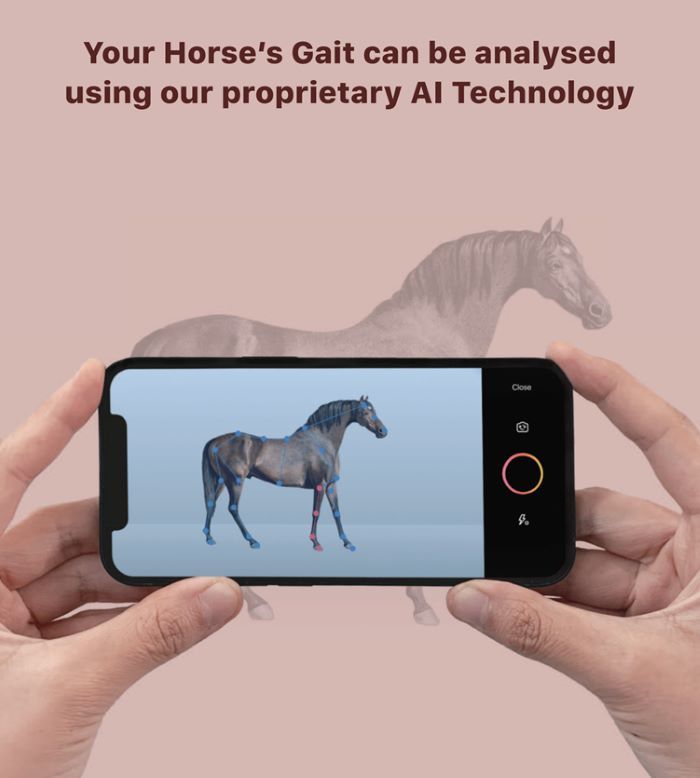 '마사회-韓스타트업 협력' AI 경주마 보행진단 기술 CES 혁신상 - 뉴스 썸네일 이미지