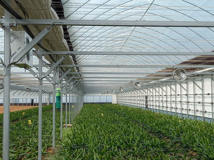 [세종=뉴시스] 에어로겔 다겹보온커튼이 설치된 파주 농가. (사진=농촌진흥청 제공) *재판매 및 DB 금지