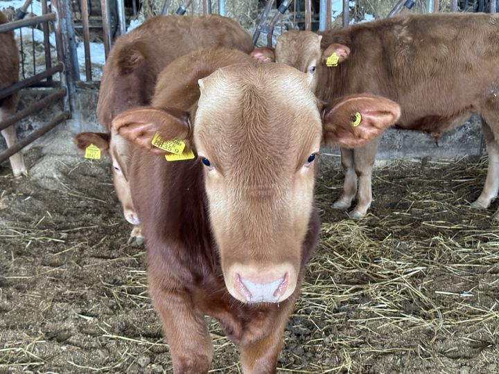 (사진=스탁키퍼 제공) *재판매 및 DB 금지