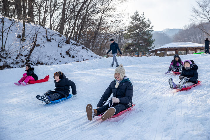 [증평=뉴시스] 충북 증평민속체험박물관 눈썰매 모습. (사진=증평군 제공) photo@newsis.com *재판매 및 DB 금지
