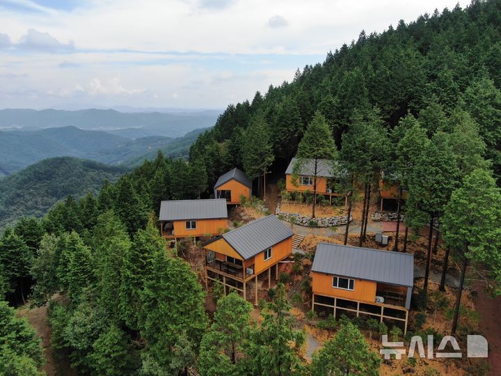 [하동=뉴시스]경남 하동군 하동편백자연휴양림.(사진=경남도 제공)