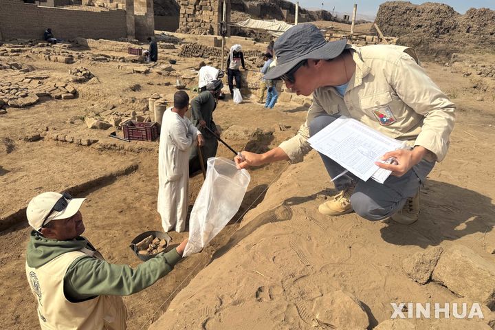 [룩소르 = 신화/뉴시스] 이집트 룩소르의 고대 무덤 터에서 문화재 발굴단이올해 1월 9일 고대 유물의 흔적들을 조사하고 있다. 룩소르는 가장 많은 파라오 무덤이 발굴된 관광 명소로 유명하다. 2025.06.09.&nbsp; 