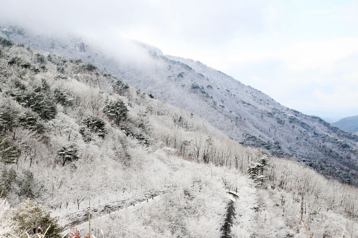 [의령=뉴시스]경남 의령 자굴산 쇠목재 설경. (사진=의령군 제공) 2025.01.27.photo@newsis.com *재판매 및 DB 금지