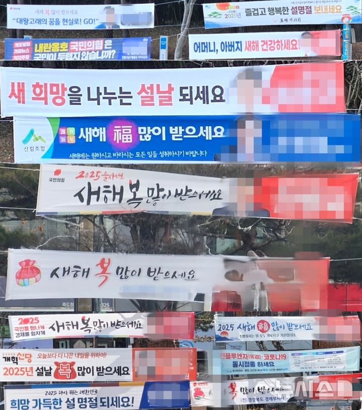 [포항=뉴시스] 송종욱 기자 = 내년 6월3일 열리는 '제9회 전국동시지방선거'에 출마할 포항시장 후보들이 설 연휴부터 현수막을 내걸고 얼굴 알리기에 나서자 시민과 귀성객이 곱지 않은 시선을 보이고 있다. 포항시청 삼거리와 오거리 등에 시장 후보들이 내건 현수막 모습. 2025.01.28. sjw@newsis.com 