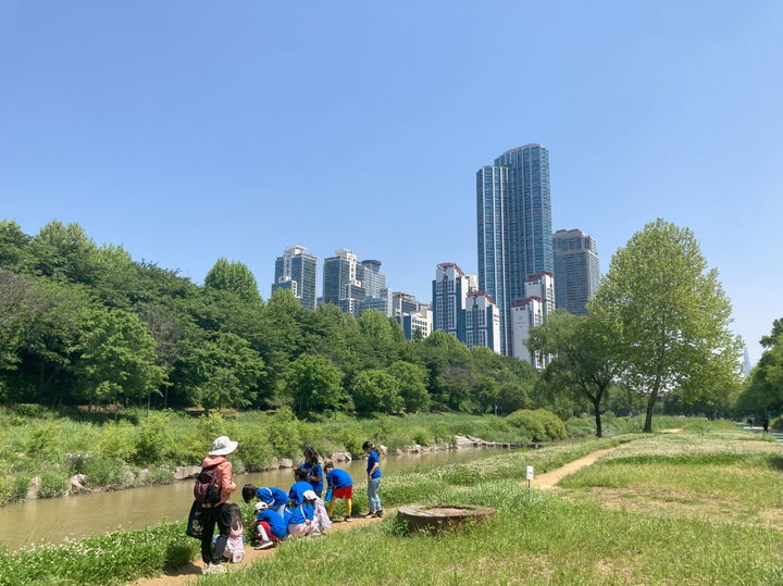 [서울=뉴시스] 생태놀이터 양재천. 2025.01.30. (사진=강남구 제공) *재판매 및 DB 금지