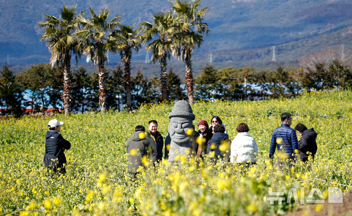 [서귀포=뉴시스] 우장호 기자 = 제주 서귀포시 남원읍 휴애리자연생활공원을 찾은 관광객들이 유채꽃을 감상하며 봄기운을 느끼고 있다. (사진=뉴시스DB) woo1223@newsis.com