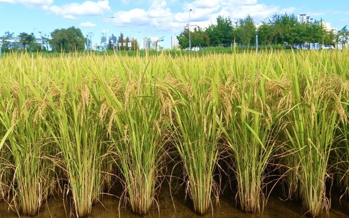 중원진미 *재판매 및 DB 금지