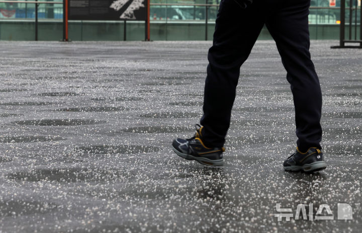 [서울=뉴시스] 이영환 기자 = 영하권 날씨가 이어지고 있는 지난 31일 오전 서울 종로구 광화문광장에 빙판길 방지를 위한 염화칼슘이 뿌려져 있다. (해당 사진은 기사와 직접 관련이 없습니다.) 2025.01.31. 20hwan@newsis.com