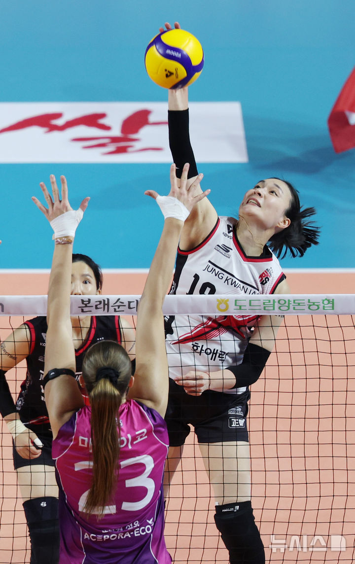 [인천=뉴시스] 김진아 기자 = 2일 인천 부평구 인천삼산월드체육관에서 열린 2024-2025 V-리그 여자부 흥국생명과 정관장의 경기, 정관장 표승주가 공격하고 있다. 2025.02.02. bluesoda@newsis.com