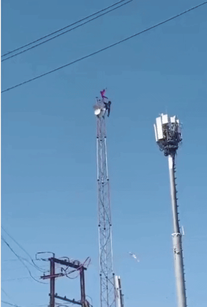 rajeshgarwal 인스타그램 캡처 *재판매 및 DB 금지