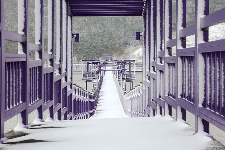 [신안=뉴시스]눈 내린 퍼플교. (사진=신안군 제공) 2025.02.04. photo@newsis.com *재판매 및 DB 금지