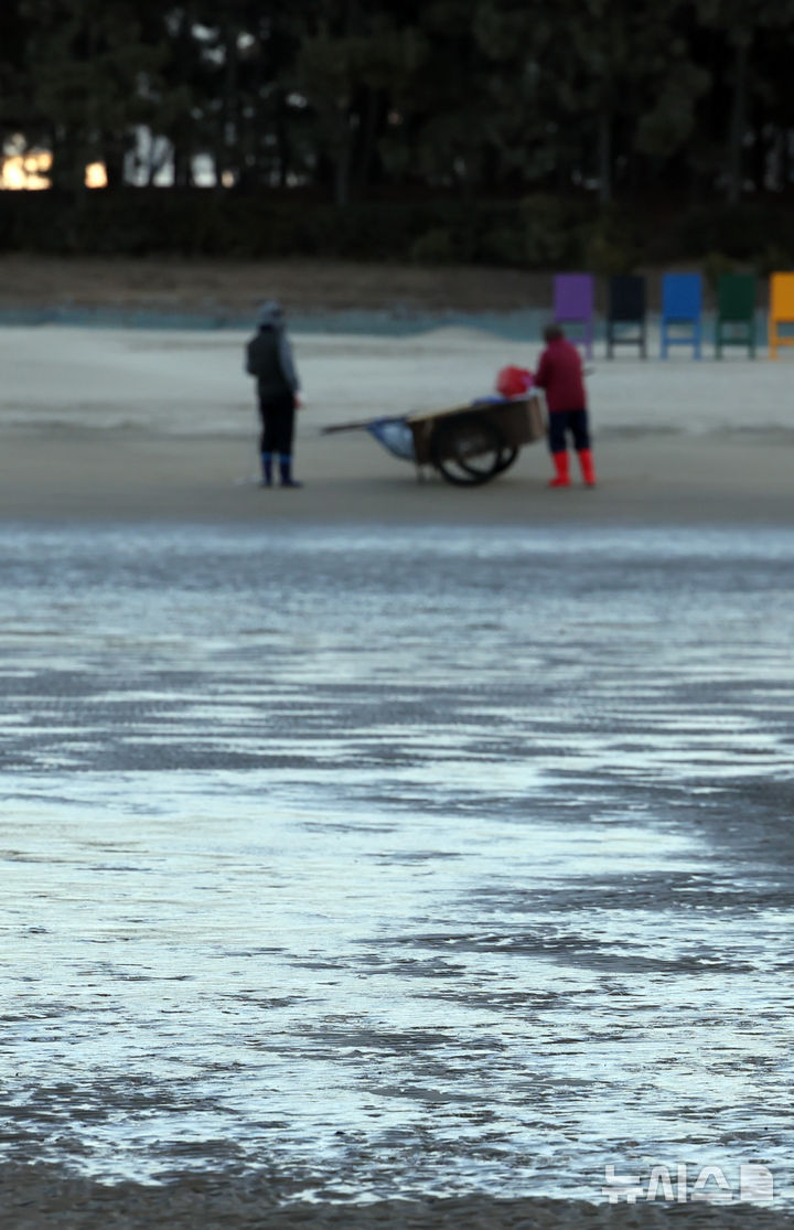 [부산=뉴시스] 하경민 기자 = 전국에 한파가 덮친 4일 부산 사하구 다대포해수욕장 백사장 일부가 얼어 있다. 2025.02.04. yulnetphoto@newsis.com
