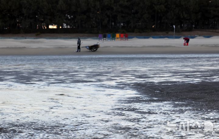 [부산=뉴시스] 하경민 기자 = 전국에 한파가 덮친 4일 부산 사하구 다대포해수욕장 백사장 일부가 얼어 있다. 2025.02.04. yulnetphoto@newsis.com