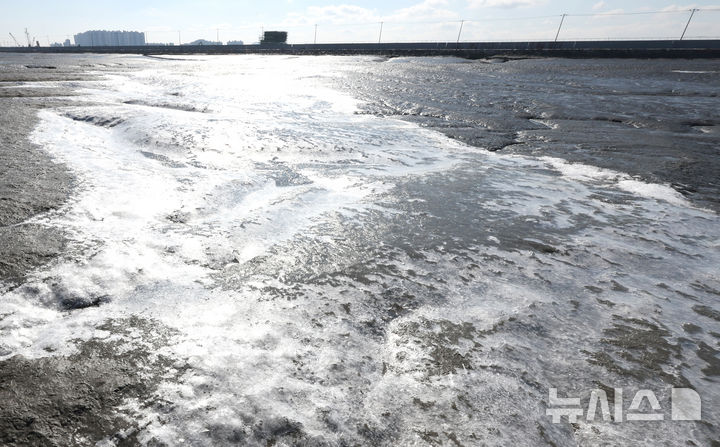[인천=뉴시스] 전진환 기자 = 전국 대부분의 지역에 한파특보가 내려진 4일 오후 인천 남동구 고잔갯벌 일대 갯골이 얼어붙어 있다. 2025.02.04. amin2@newsis.com