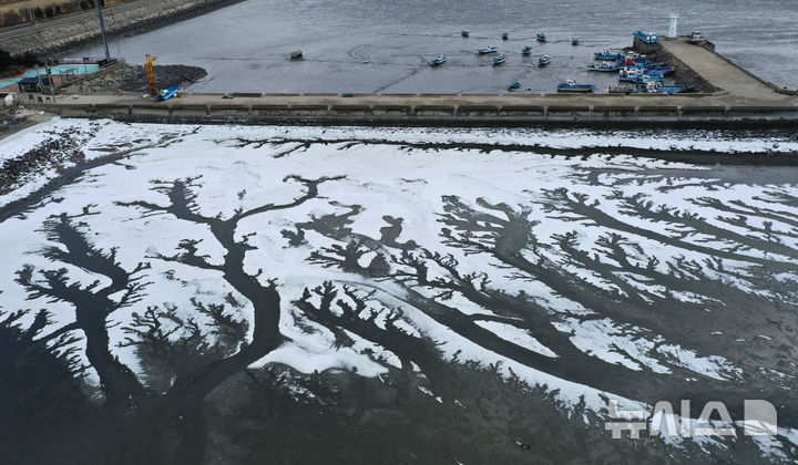 [화성=뉴시스] 김종택 기자 = 전국 대부분 지역에 한파특보가 발효된 4일 경기도 화성시 우정읍 매향항 일대가 꽁꽁 얼어있다. 2025.02.04. jtk@newsis.com