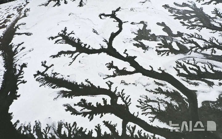 [화성=뉴시스] 김종택 기자 = 전국 대부분 지역에 한파특보가 발효된 4일 경기도 화성시 우정읍 매향항 일대가 꽁꽁 얼어있다. 2025.02.04. jtk@newsis.com