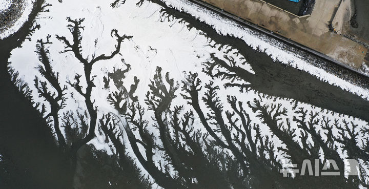 [화성=뉴시스] 김종택 기자 = 전국 대부분 지역에 한파특보가 발효된 4일 경기도 화성시 우정읍 매향항 일대가 꽁꽁 얼어있다. 2025.02.04. jtk@newsis.com