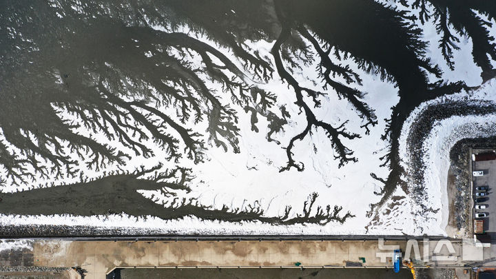 [화성=뉴시스] 김종택 기자 = 전국 대부분 지역에 한파특보가 발효된 4일 경기도 화성시 우정읍 매향항 일대가 꽁꽁 얼어있다. 2025.02.04. jtk@newsis.com