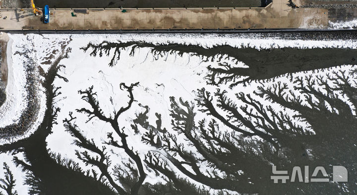 [화성=뉴시스] 김종택 기자 = 전국 대부분 지역에 한파특보가 발효된 4일 경기도 화성시 우정읍 매향항 일대가 꽁꽁 얼어있다. 2025.02.04. jtk@newsis.com