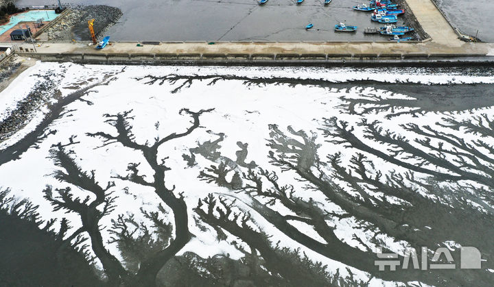 [화성=뉴시스] 김종택 기자 = 전국 대부분 지역에 한파특보가 발효된 4일 경기도 화성시 우정읍 매향항 일대가 꽁꽁 얼어있다. 2025.02.04. jtk@newsis.com