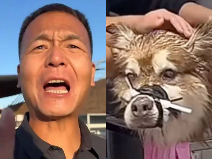 [서울=뉴시스] 3일 홍콩 사우스차이나모닝포스트(SCMP)에 따르면 지난달 19일 인플루언서 판홍은 소셜미디어 라이브 스트리밍에서 알래스카 말라뮤트 견종인 '아이테'를 목욕시키던 중 개가 사망하는 사고가 발생했다. (사진=SCMP 갈무리) 2025.02.05. photo@newsis.com *재판매 및 DB 금지