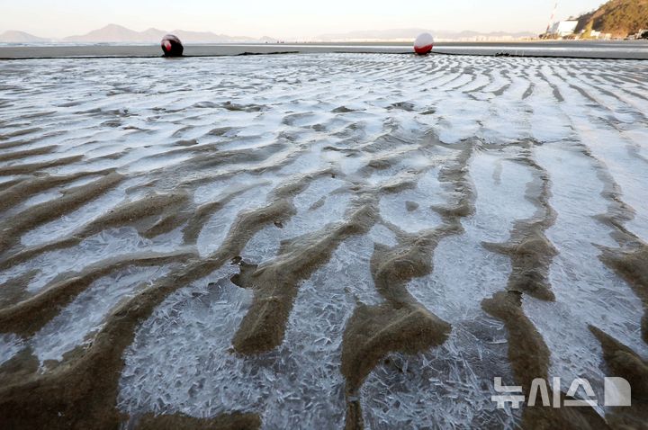 [부산=뉴시스] 하경민 기자 = 전국에 한파가 덮친 5일 부산 사하구 다대포해수욕장 백사장 일부에 바닷물이 얼어 있다. 2025.02.05. yulnetphoto@newsis.com