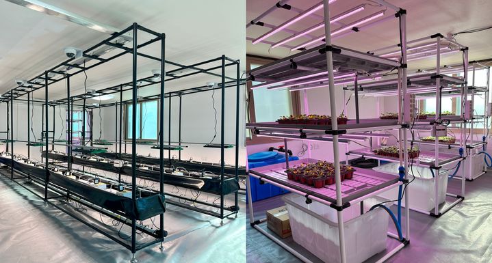 '초록마을' 스마트팜 내부 (사진=숭실대 제공) *재판매 및 DB 금지