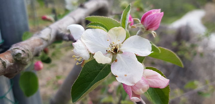 [거창=뉴시스] 거창군청 *재판매 및 DB 금지 *재판매 및 DB 금지