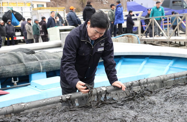 [고흥=뉴시스] 공영민 고흥군수가 구암항 물김 위판장에서 물김 상태를 확인하고 있다. (사진=고흥군 제공) 2025.02.06. photo@newsis.com *재판매 및 DB 금지