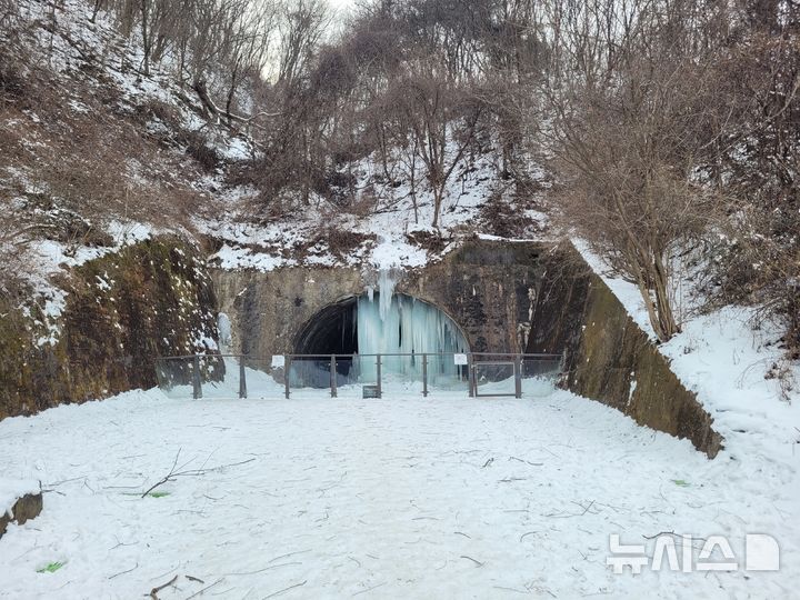 [연천=뉴시스] 한파경보가 내려진 6일 경기 연천군 신서면의 고대산 자락에 위치한 폐터널에 역고드름이 솟아올랐다. 역고드름 현상은 터널 천장에서 떨어진 물이 얼어붙어 바닥에서부터 고드름이 생기는 것을 말한다. (사진=신서파출소 제공) 2024.02.06 photo@newsis.com 