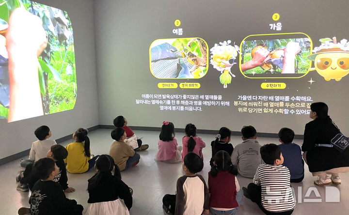 나주배박물관이 구축한 '나주배의 사계' 실감 콘텐츠관에서 어린이들이 체험 학습을 하고 있다. (사진=나주시 제공) photo@newsis.com