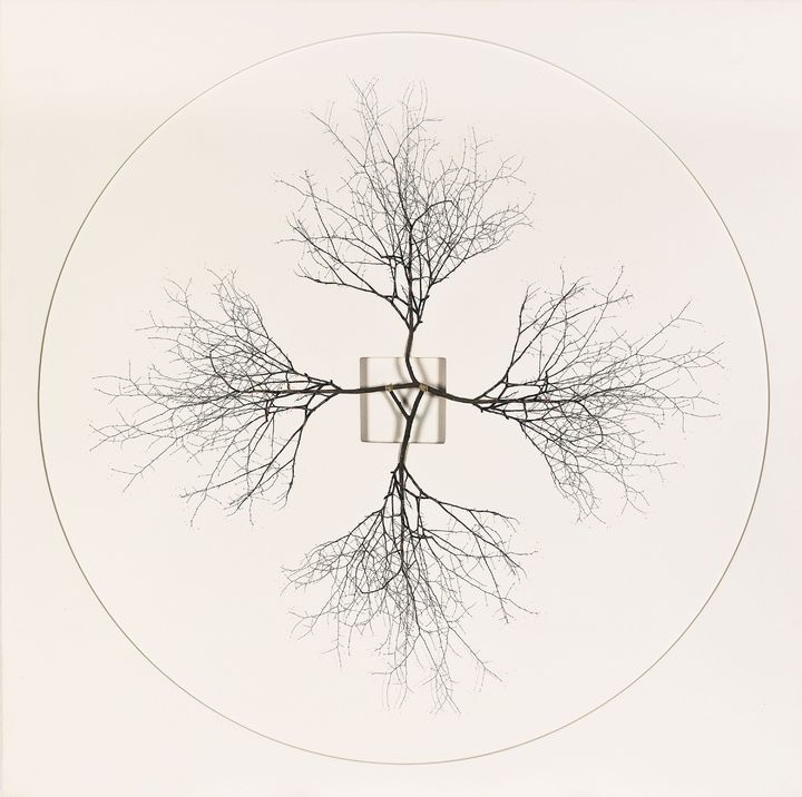 김관수 [무제], mixed media on canvas, 120.2×120.2cm, 2018, 추정가 2000만~5000만 원. *재판매 및 DB 금지