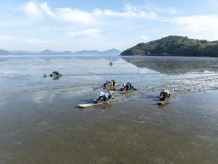 [서울=뉴시스] 고흥 갯벌 (사진=한국의 갯벌 세계유산 등재추진단 제공) 2025.02.07. photo@newsis.com *재판매 및 DB 금지