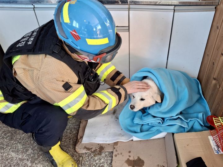 박종열 경기소방 긴급대응팀장이 구조한 강아지. (사진=경기도소방재난본부 제공) *재판매 및 DB 금지