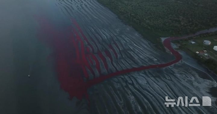 [서울=뉴시스] 아르헨티나의 수도 부에노스아이레스의 외곽 지역의 강이 붉게 물들었다. (사진=AP통신)