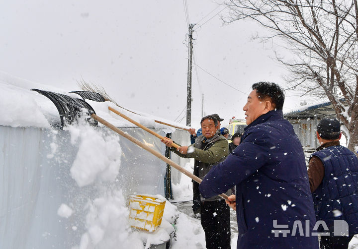 김한종 장성군수(맨 앞)가 폭설에 의한 농업용 시설하우스 붕괴 예방을 위해 눈 치우기 일손을 돕고 있다. (사진=장성군 제공) photo@newsis.com