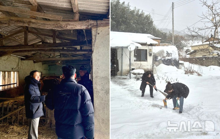 전남 장성군 공무원들이 폭설에 취약한 시설을 점검하고 제설 작업을 돕고 있다. (사진=장성군 제공) photo@newsis.com