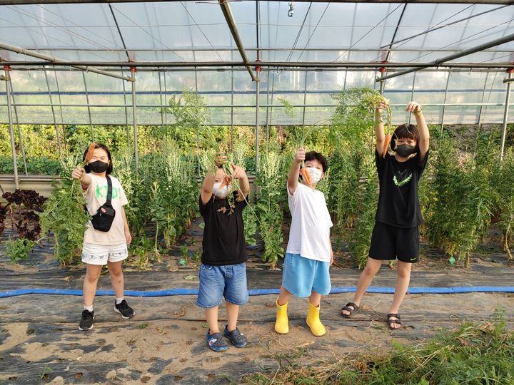 [대구=뉴시스] 대구농협 올해 주말농장 선착순 분양. (사진=대구농협 제공) 2025.02.09. photo@newsis.com *재판매 및 DB 금지