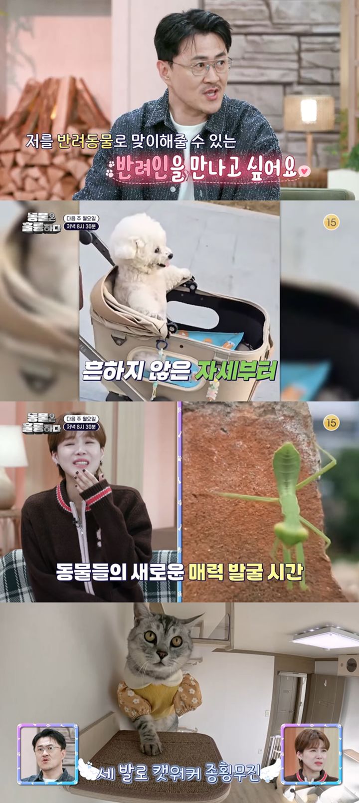 [서울=뉴시스] KBS 2TV 예능물 '동물은 훌륭하다'는 10일 오후 8시30분 방송된다. (사진=KBS 2TV '동물은 훌륭하다' 제공) 2024.02.10. photo@newsis.com *재판매 및 DB 금지