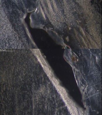[세종=뉴시스] 농촌진흥청은 농가 환경오염의 주범으로 지목되고 있는 영농 폐비닐을 미생물로 신속하게 분해할 수 있는 기술을 개발했다고 10일 밝혔다. (사진=농진청 제공) 2025.02.10. photo@newsis.com *재판매 및 DB 금지