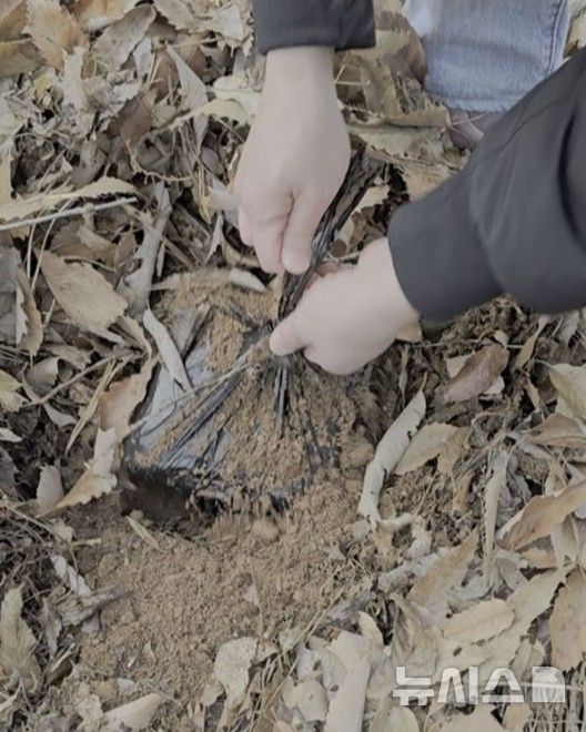 [인천=뉴시스] 땅속에 묻혀있던 마약류 수거 장면. (사진=인천지검 제공) 2025.02.10. photo@newsis.com *재판매 및 DB 금지
