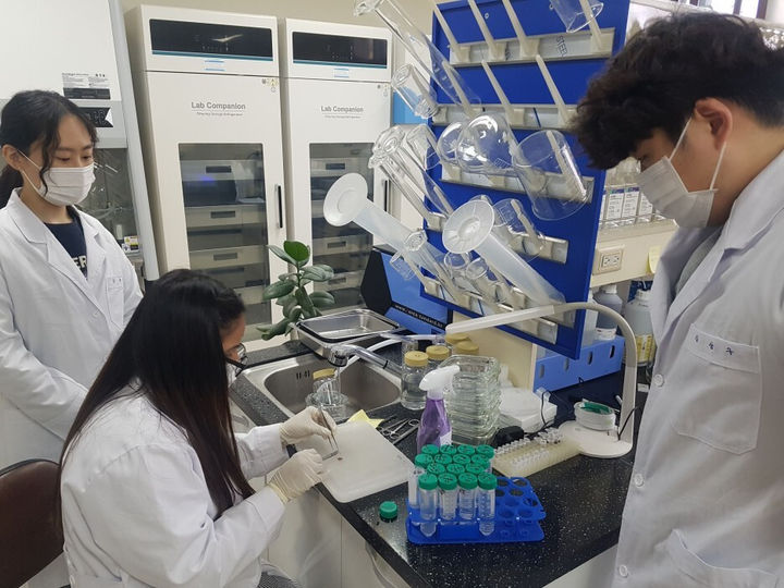 이공계 학생들이 실험실에서 연구를 진행 중인 모습. (사진=교육부 공식 블로그) *재판매 및 DB 금지