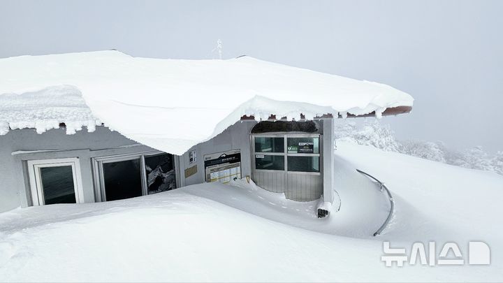 [제주=뉴시스] 한라산에 많은 눈이 쌓이면서 백록담 정상 탐방이 통제됐다. 10일 관음사탐방로의 삼각봉대피소가 눈에 잠긴 모습이다. (사진=독자 제공) 2025.02.11. photo@newsis.com